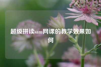 超级拼读sam网课的教学效果如何