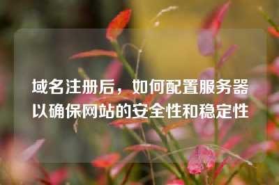 域名注册后，如何配置服务器以确保网站的安全性和稳定性