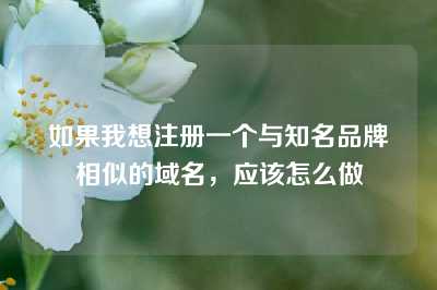 如果我想注册一个与知名品牌相似的域名，应该怎么做