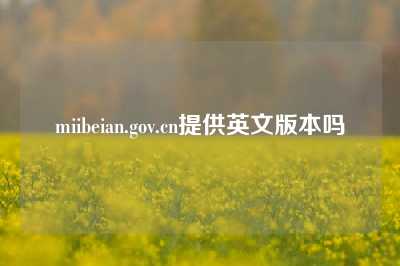 miibeian.gov.cn提供英文版本吗