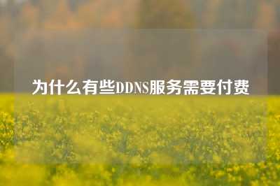 为什么有些DDNS服务需要付费