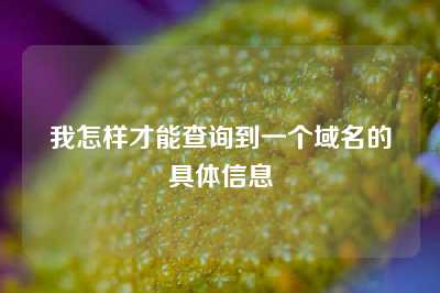 我怎样才能查询到一个域名的具体信息