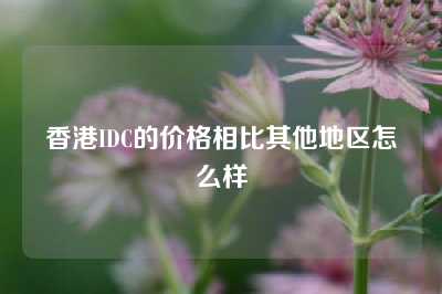 香港IDC的价格相比其他地区怎么样