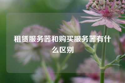 租赁服务器和购买服务器有什么区别