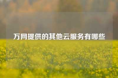 万网提供的其他云服务有哪些