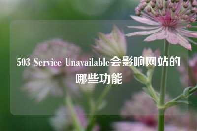503 Service Unavailable会影响网站的哪些功能