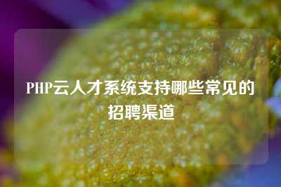 PHP云人才系统支持哪些常见的招聘渠道