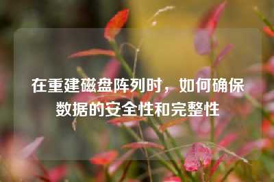 在重建磁盘阵列时，如何确保数据的安全性和完整性