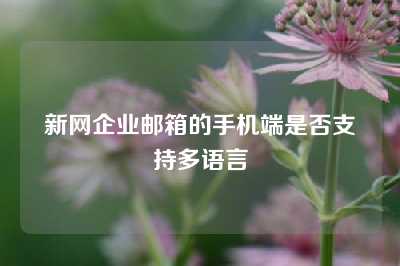 新网企业邮箱的手机端是否支持多语言
