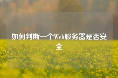 如何判断一个Web服务器是否安全