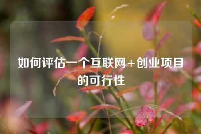如何评估一个互联网+创业项目的可行性