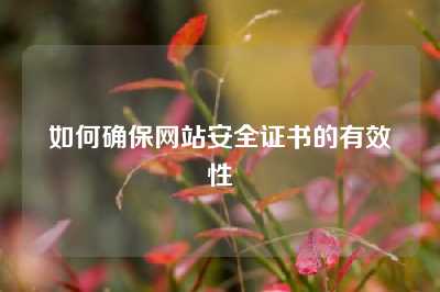 如何确保网站安全证书的有效性