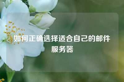 如何正确选择适合自己的邮件服务器