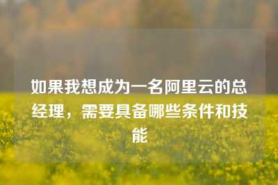 如果我想成为一名阿里云的总经理，需要具备哪些条件和技能
