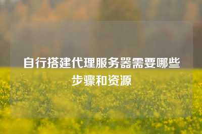 自行搭建代理服务器需要哪些步骤和资源