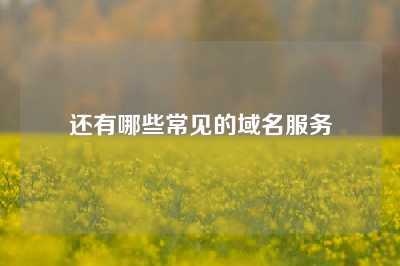 还有哪些常见的域名服务