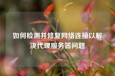 如何检测并修复网络连接以解决代理服务器问题