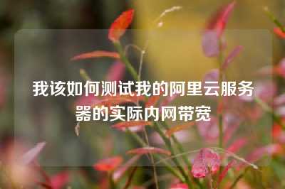 我该如何测试我的阿里云服务器的实际内网带宽