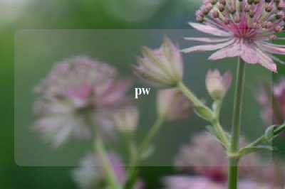 pw