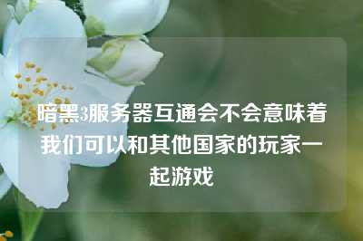暗黑3服务器互通会不会意味着我们可以和其他国家的玩家一起游戏