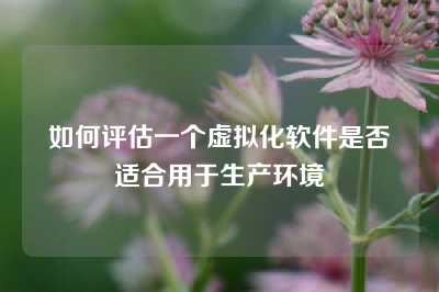 如何评估一个虚拟化软件是否适合用于生产环境