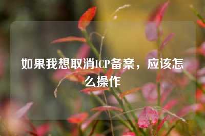 如果我想取消ICP备案，应该怎么操作