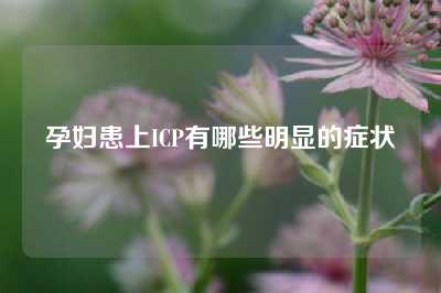 孕妇患上ICP有哪些明显的症状