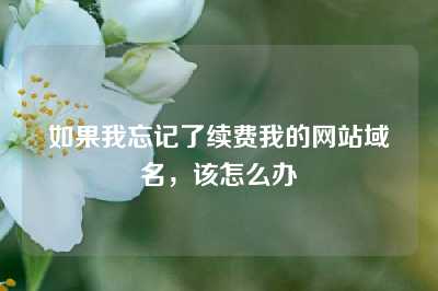 如果我忘记了续费我的网站域名，该怎么办