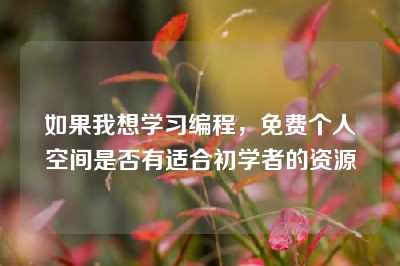 如果我想学习编程，免费个人空间是否有适合初学者的资源