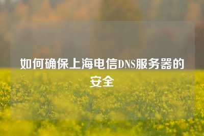 如何确保上海电信DNS服务器的安全