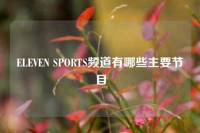 ELEVEN SPORTS频道有哪些主要节目