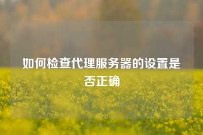 如何检查代理服务器的设置是否正确