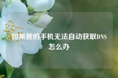 如果我的手机无法自动获取DNS怎么办