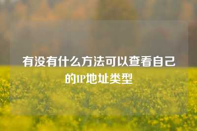 有没有什么方法可以查看自己的IP地址类型