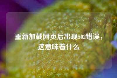重新加载网页后出现502错误，这意味着什么