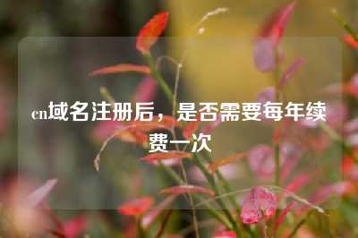 cn域名注册后，是否需要每年续费一次