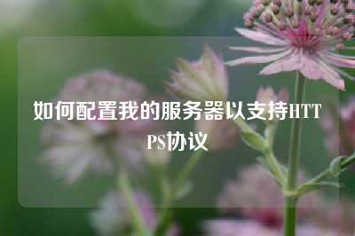 如何配置我的服务器以支持HTTPS协议