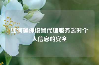 如何确保设置代理服务器时个人信息的安全
