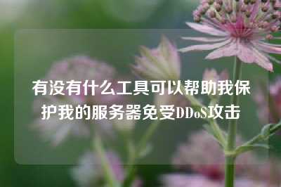 有没有什么工具可以帮助我保护我的服务器免受DDoS攻击