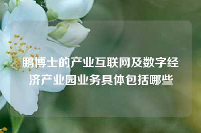 鹏博士的产业互联网及数字经济产业园业务具体包括哪些