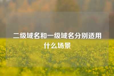 二级域名和一级域名分别适用什么场景