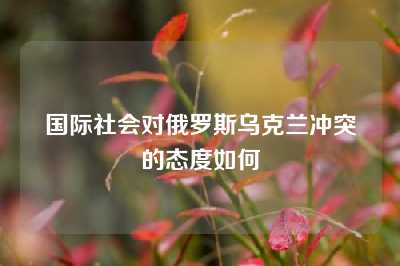 国际社会对俄罗斯乌克兰冲突的态度如何