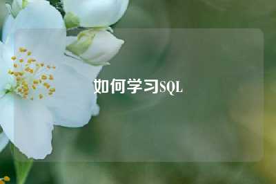 如何学习SQL