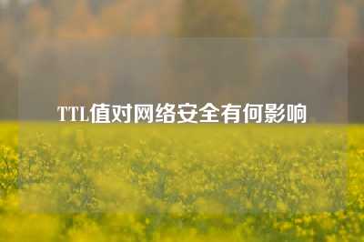 TTL值对网络安全有何影响