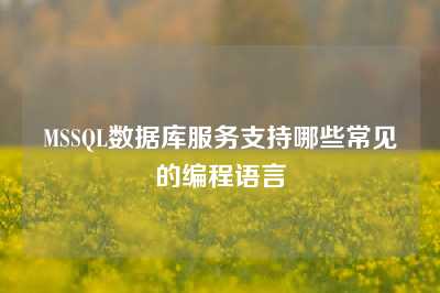 MSSQL数据库服务支持哪些常见的编程语言