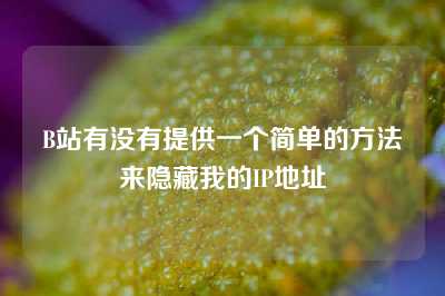 B站有没有提供一个简单的方法来隐藏我的IP地址
