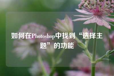 如何在Photoshop中找到“选择主题”的功能