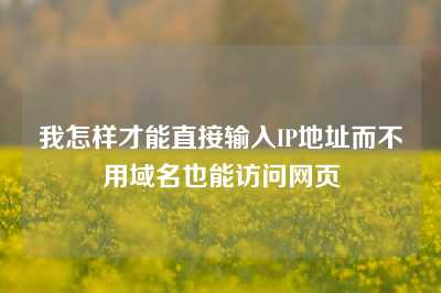 我怎样才能直接输入IP地址而不用域名也能访问网页