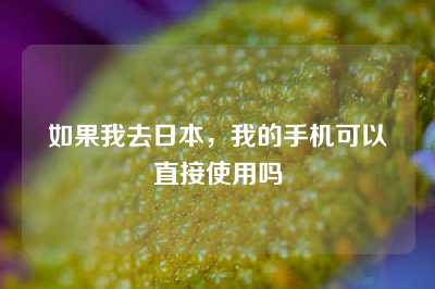 如果我去日本，我的手机可以直接使用吗