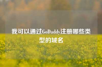 我可以通过GoDaddy注册哪些类型的域名